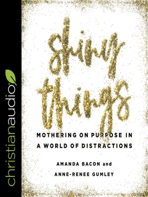 cover image of Shiny Things